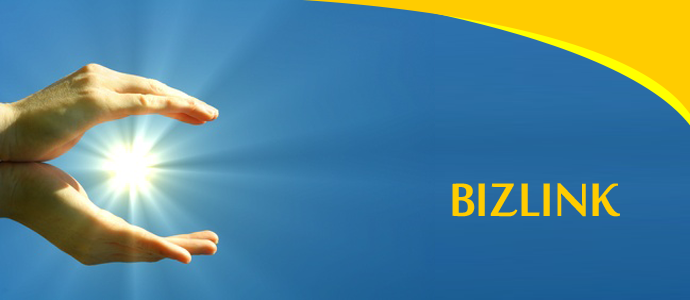 Welcome To Bizlink